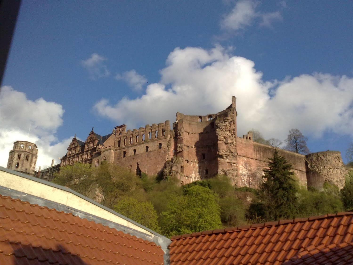 Lotte - The Backpackers Hostel Heidelberg